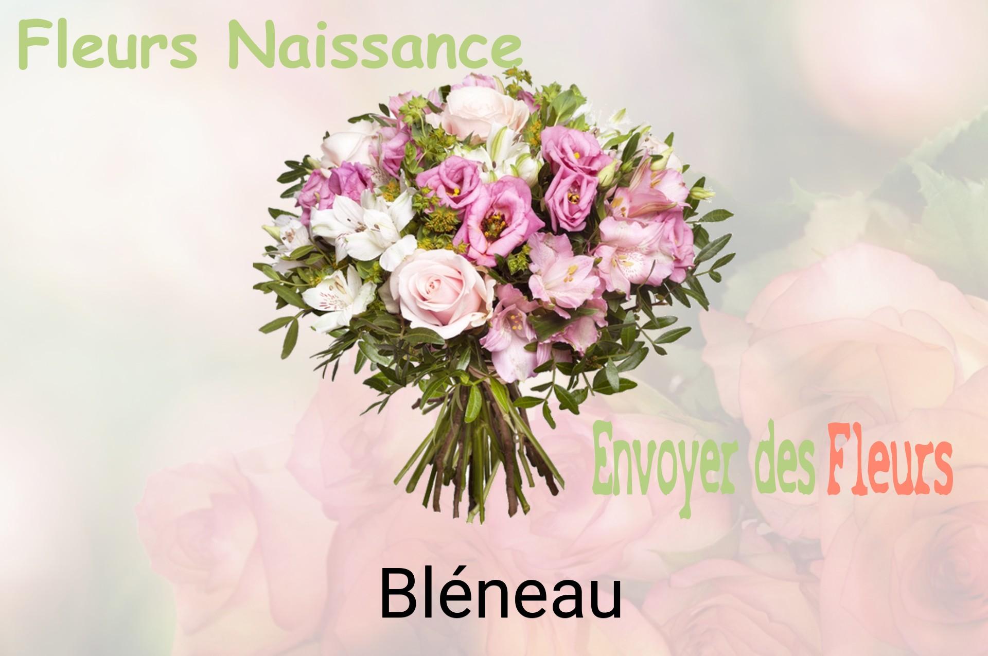 Bouquet de fleurs de naissance livré à Bléneau