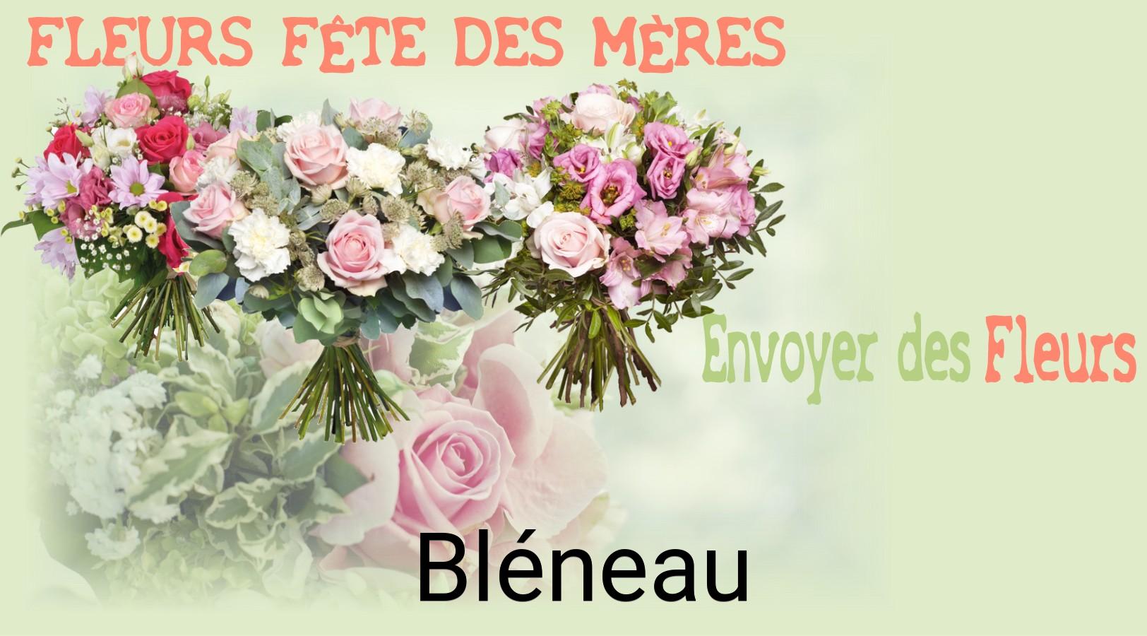 Bouquet de Fête des Mères livré à Bléneau